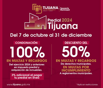 Ayuntamiento Octubre 2024