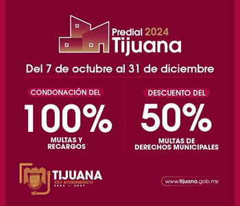 Ayuntamiento Octubre 2024