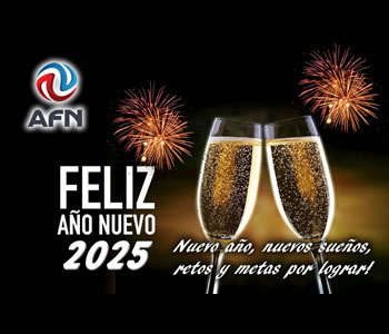 Año Nuevo